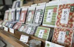 No.88　新茶情報