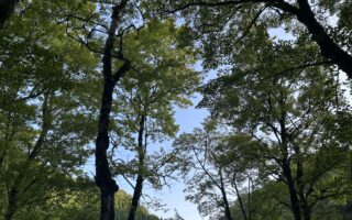No.100 夏の思い出