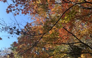 No.103　加島茶舗の歴史