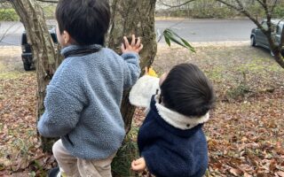 No.104 お茶にまつわる怪談