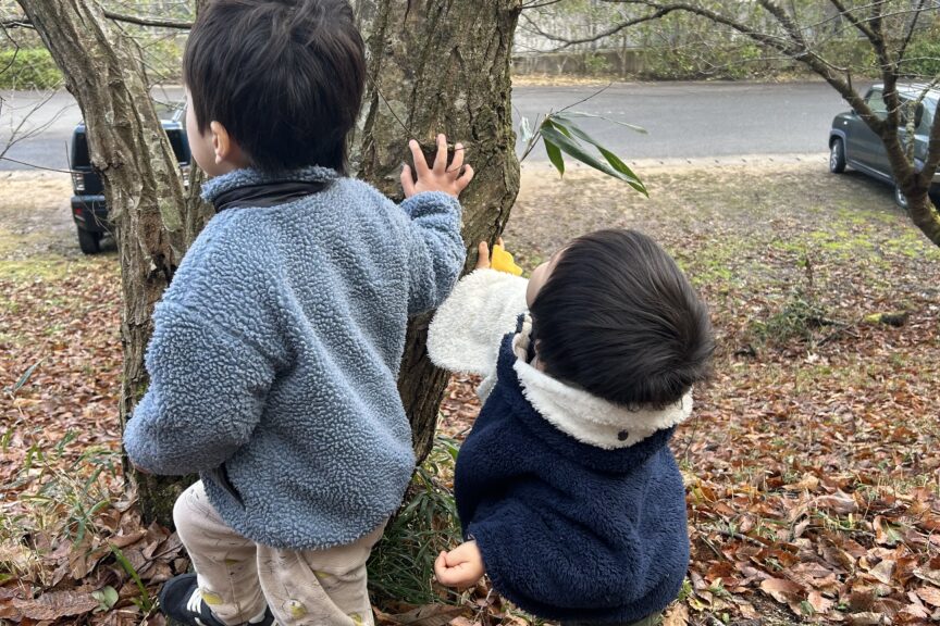 No.104 お茶にまつわる怪談