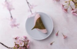 No.106　茶の湯のまち松江